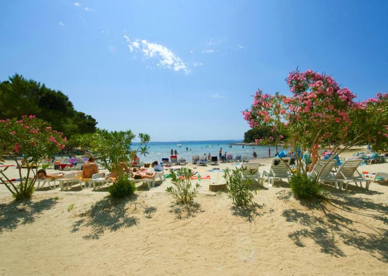 Villa Daria Pakoštane Dış mekan fotoğraf
